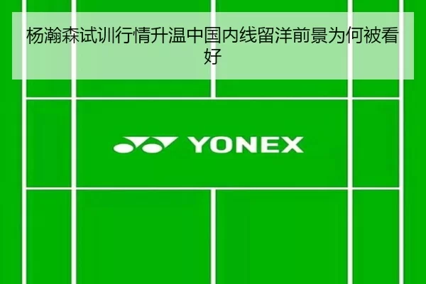 杨瀚森试训行情升温中国内线留洋前景为何被看好